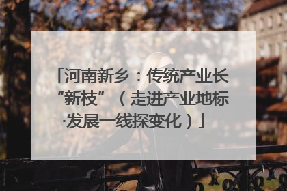 河南新乡：传统产业长“新枝”（走进产业地标·发展一线探变化）