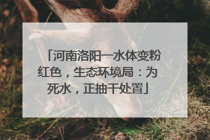 河南洛阳一水体变粉红色，生态环境局：为死水，正抽干处置