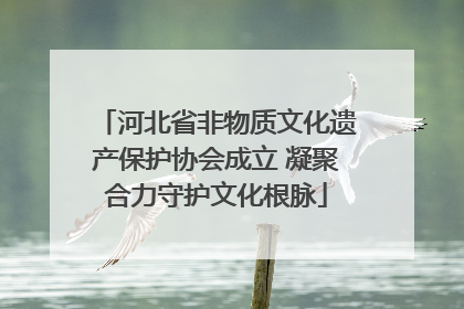 河北省非物质文化遗产保护协会成立 凝聚合力守护文化根脉
