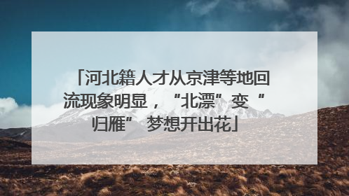 河北籍人才从京津等地回流现象明显，“北漂”变“归雁” 梦想开出花