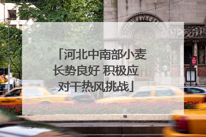 河北中南部小麦长势良好 积极应对干热风挑战