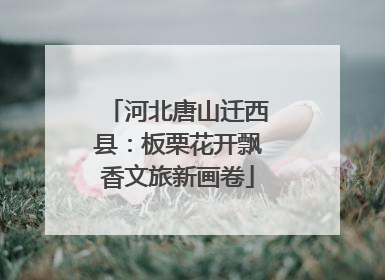河北唐山迁西县：板栗花开飘香文旅新画卷