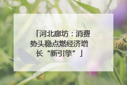 河北廊坊：消费势头稳点燃经济增长“新引擎”