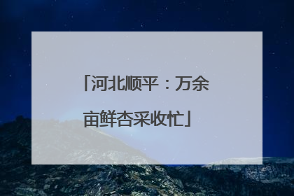 河北顺平：万余亩鲜杏采收忙