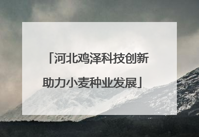 河北鸡泽科技创新助力小麦种业发展