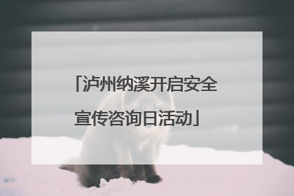 泸州纳溪开启安全宣传咨询日活动