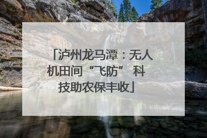 泸州龙马潭：无人机田间“飞防” 科技助农保丰收
