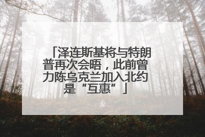 泽连斯基将与特朗普再次会晤，此前曾力陈乌克兰加入北约是“互惠”
