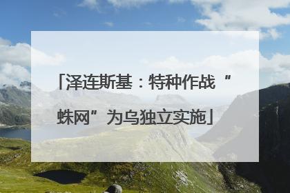 泽连斯基：特种作战“蛛网”为乌独立实施