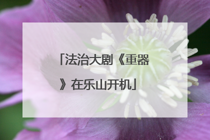 法治大剧《重器》在乐山开机