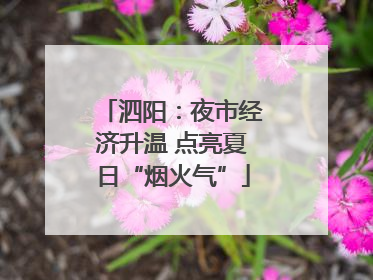 泗阳：夜市经济升温 点亮夏日“烟火气”