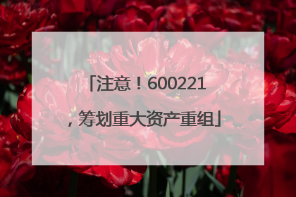 注意！600221，筹划重大资产重组