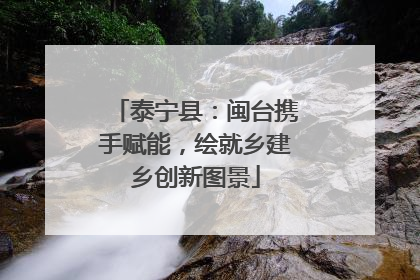 泰宁县：闽台携手赋能，绘就乡建乡创新图景