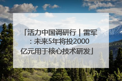 活力中国调研行｜雷军：未来5年将投2000亿元用于核心技术研发