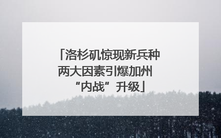 洛杉矶惊现新兵种 两大因素引爆加州“内战”升级