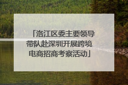 洛江区委主要领导带队赴深圳开展跨境电商招商考察活动