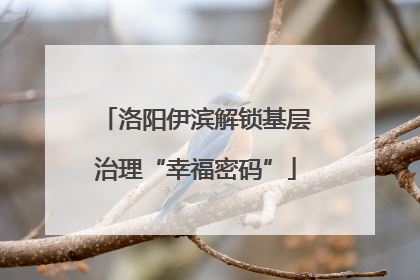 洛阳伊滨解锁基层治理“幸福密码”
