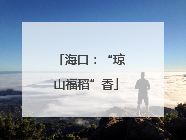 海口：“琼山福稻”香