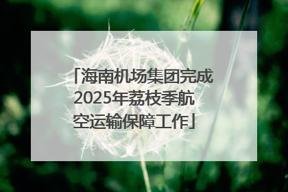 海南机场集团完成2025年荔枝季航空运输保障工作