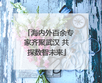 海内外百余专家齐聚武汉 共探数智未来