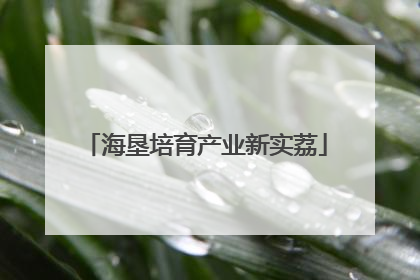 海垦培育产业新实荔
