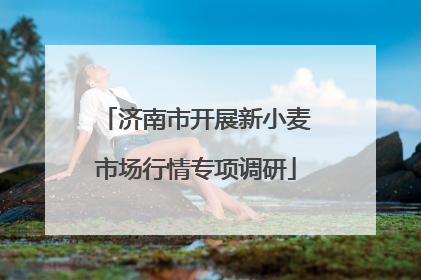 济南市开展新小麦市场行情专项调研