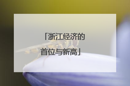 浙江经济的首位与新高