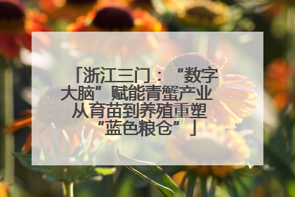 浙江三门：“数字大脑”赋能青蟹产业 从育苗到养殖重塑“蓝色粮仓”
