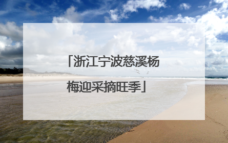 浙江宁波慈溪杨梅迎采摘旺季