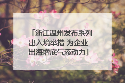 浙江温州发布系列出入境举措 为企业出海增底气添动力