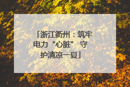 浙江衢州：筑牢电力“心脏” 守护清凉一夏