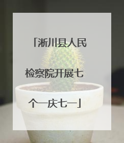 淅川县人民检察院开展七个一庆七一