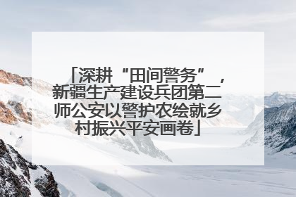 深耕“田间警务”，新疆生产建设兵团第二师公安以警护农绘就乡村振兴平安画卷