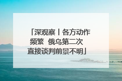 深观察丨各方动作频繁  俄乌第二次直接谈判前景不明