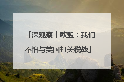深观察丨欧盟：我们不怕与美国打关税战