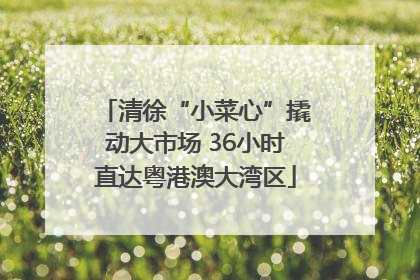 清徐“小菜心”撬动大市场 36小时直达粤港澳大湾区