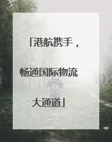 港航携手，畅通国际物流大通道