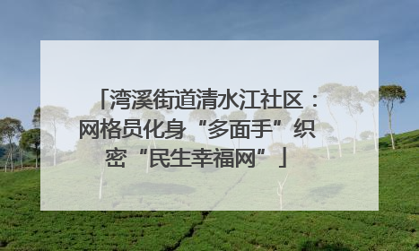 湾溪街道清水江社区：网格员化身“多面手”织密“民生幸福网”
