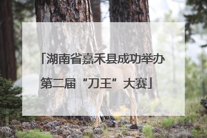 湖南省嘉禾县成功举办第二届“刀王”大赛