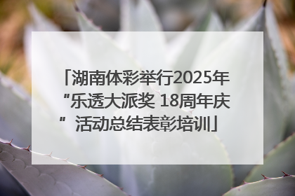 湖南体彩举行2025年“乐透大派奖 18周年庆”活动总结表彰培训