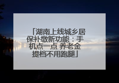 湖南上线城乡居保补缴新功能：手机点一点 养老金提档不用跑腿