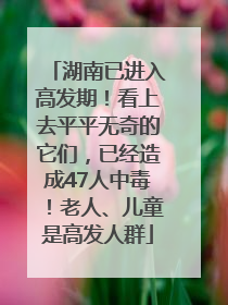湖南已进入高发期！看上去平平无奇的它们，已经造成47人中毒！老人、儿童是高发人群