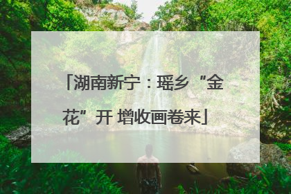 湖南新宁：瑶乡“金花”开 增收画卷来