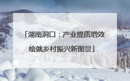 湖南洞口：产业提质增效 绘就乡村振兴新图景