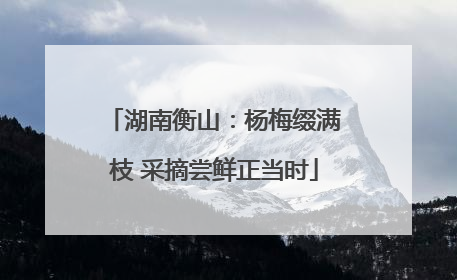 湖南衡山：杨梅缀满枝 采摘尝鲜正当时