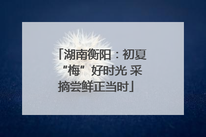 湖南衡阳：初夏“梅”好时光 采摘尝鲜正当时