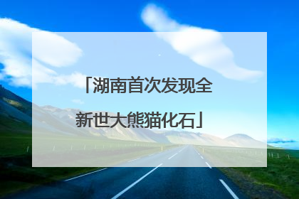 湖南首次发现全新世大熊猫化石