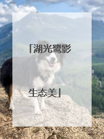 湖光鹭影生态美