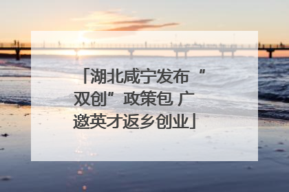 湖北咸宁发布“双创”政策包 广邀英才返乡创业