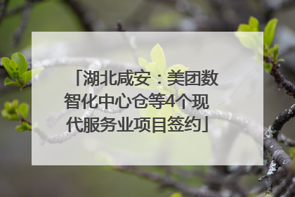 湖北咸安：美团数智化中心仓等4个现代服务业项目签约